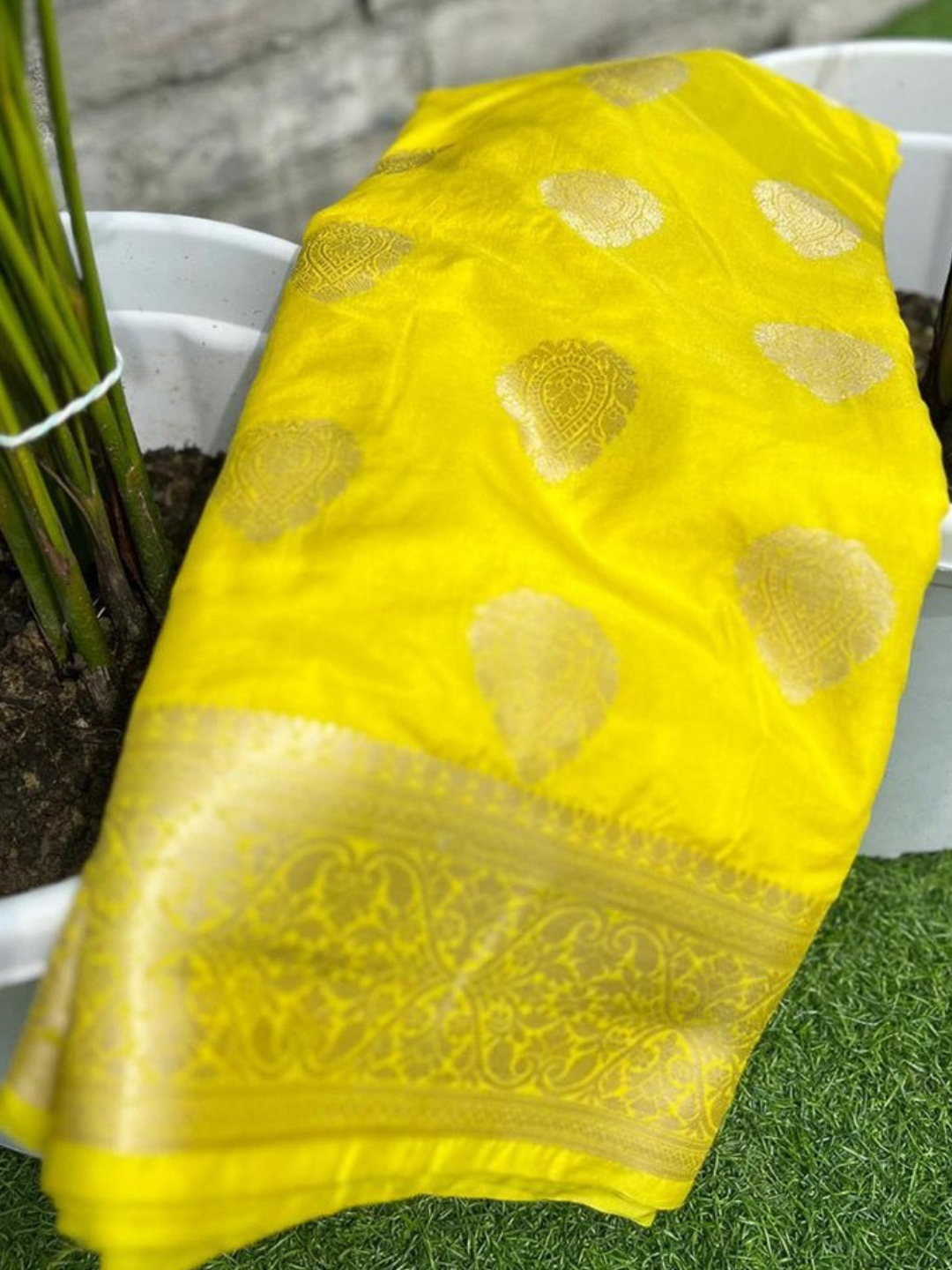 Royal Charm Banarasi Silk Saree with Intricate Zari Buta